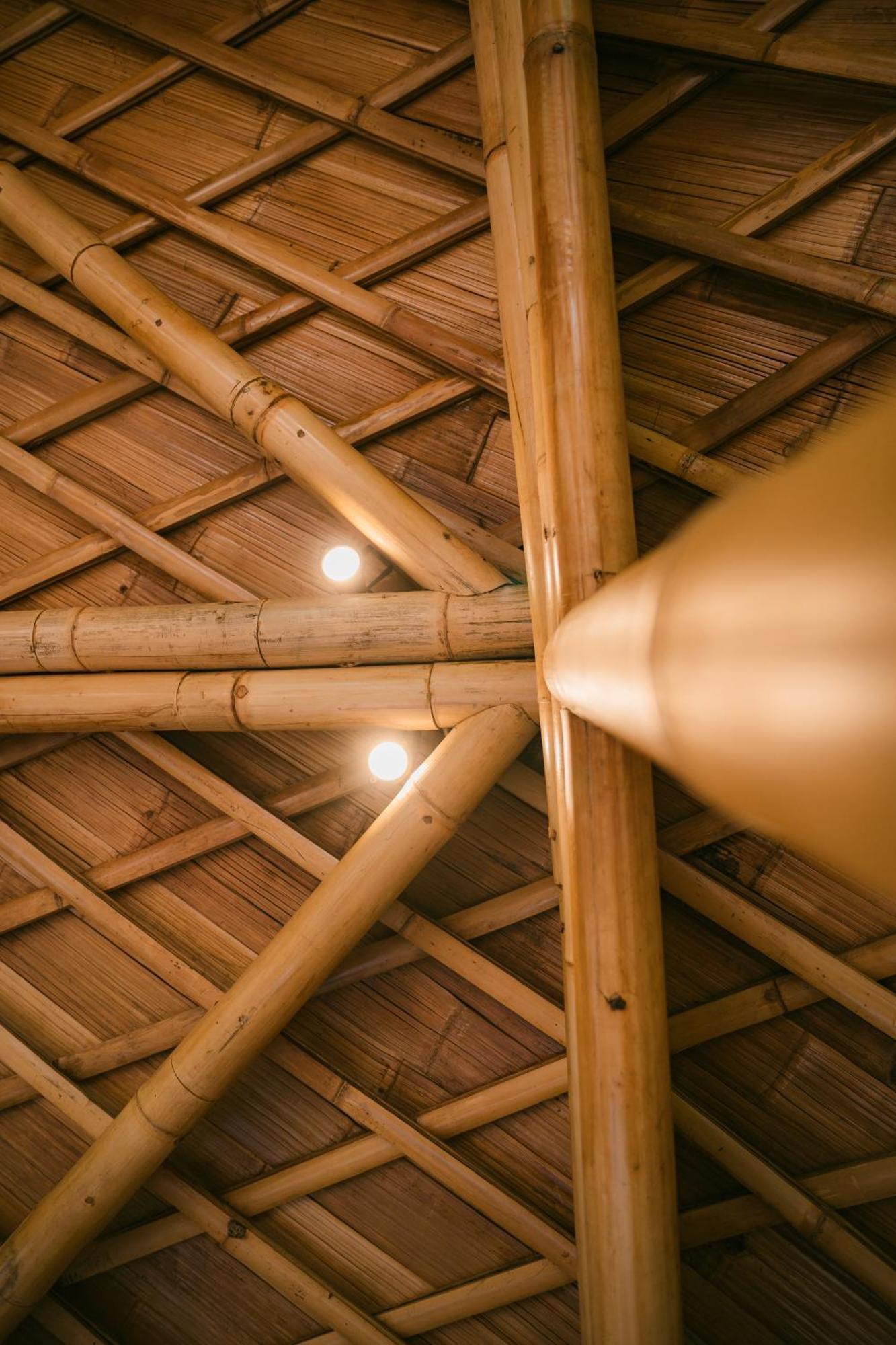 Alamvaya Bali Bamboo House Villa ซิเดอมัน ภายนอก รูปภาพ