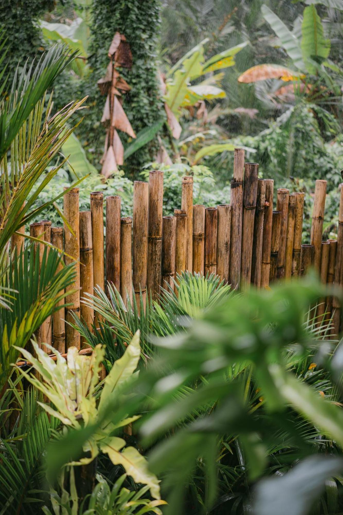 Alamvaya Bali Bamboo House Villa ซิเดอมัน ภายนอก รูปภาพ